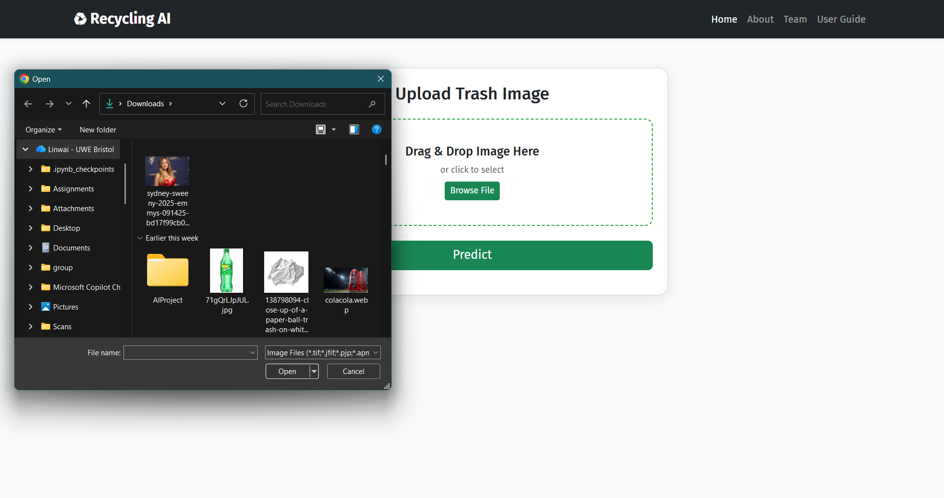 Screenshot of image upload interaction
