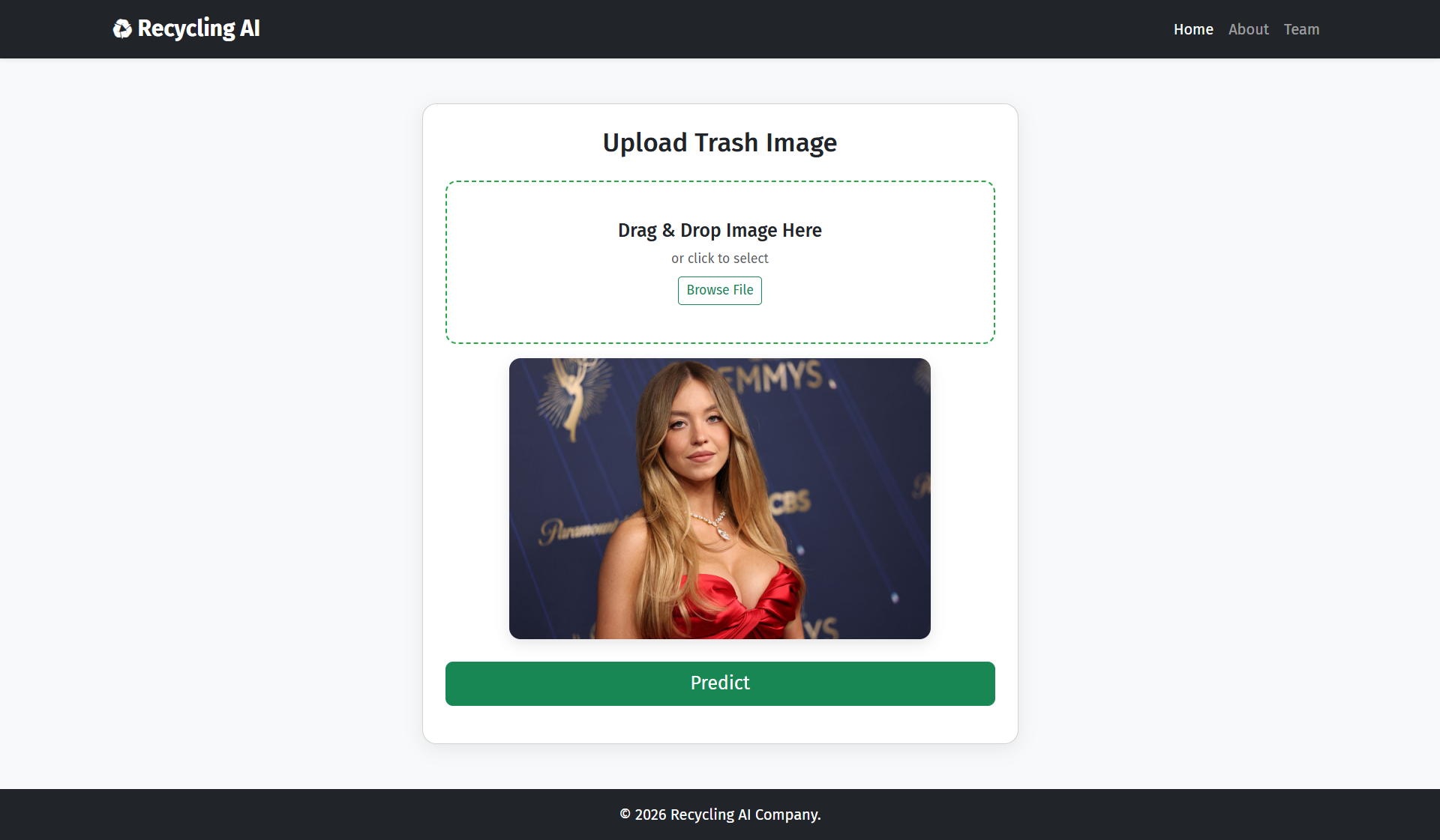 Screenshot of image preview display